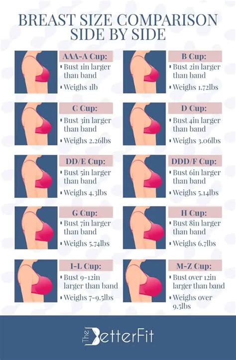 BreastComparison .